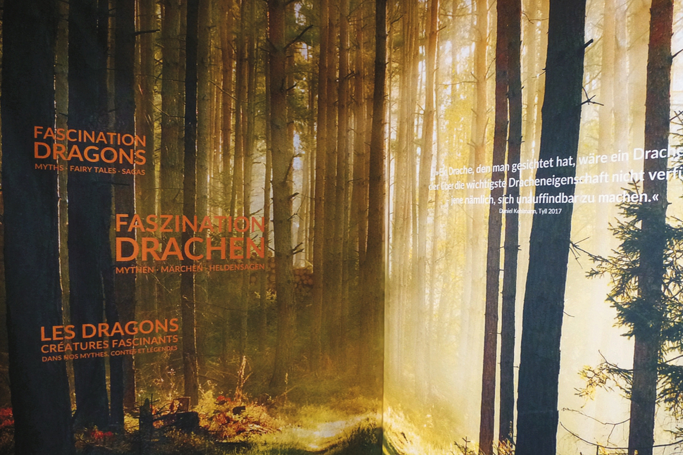 Faszination-Drachen-10
